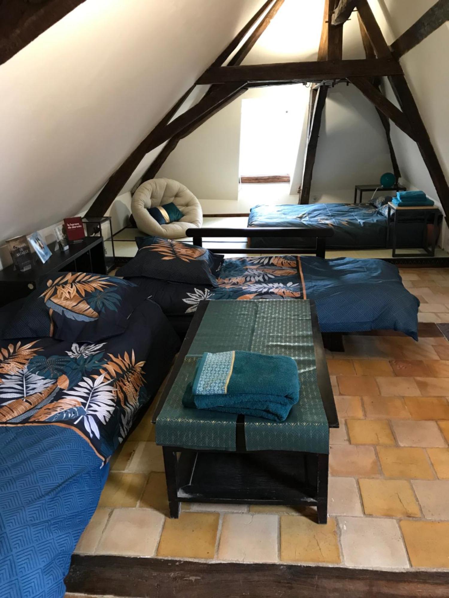 Jacuzzi Et Vue Sur Loire - L'odyssee Homestay *